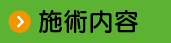 施術内容